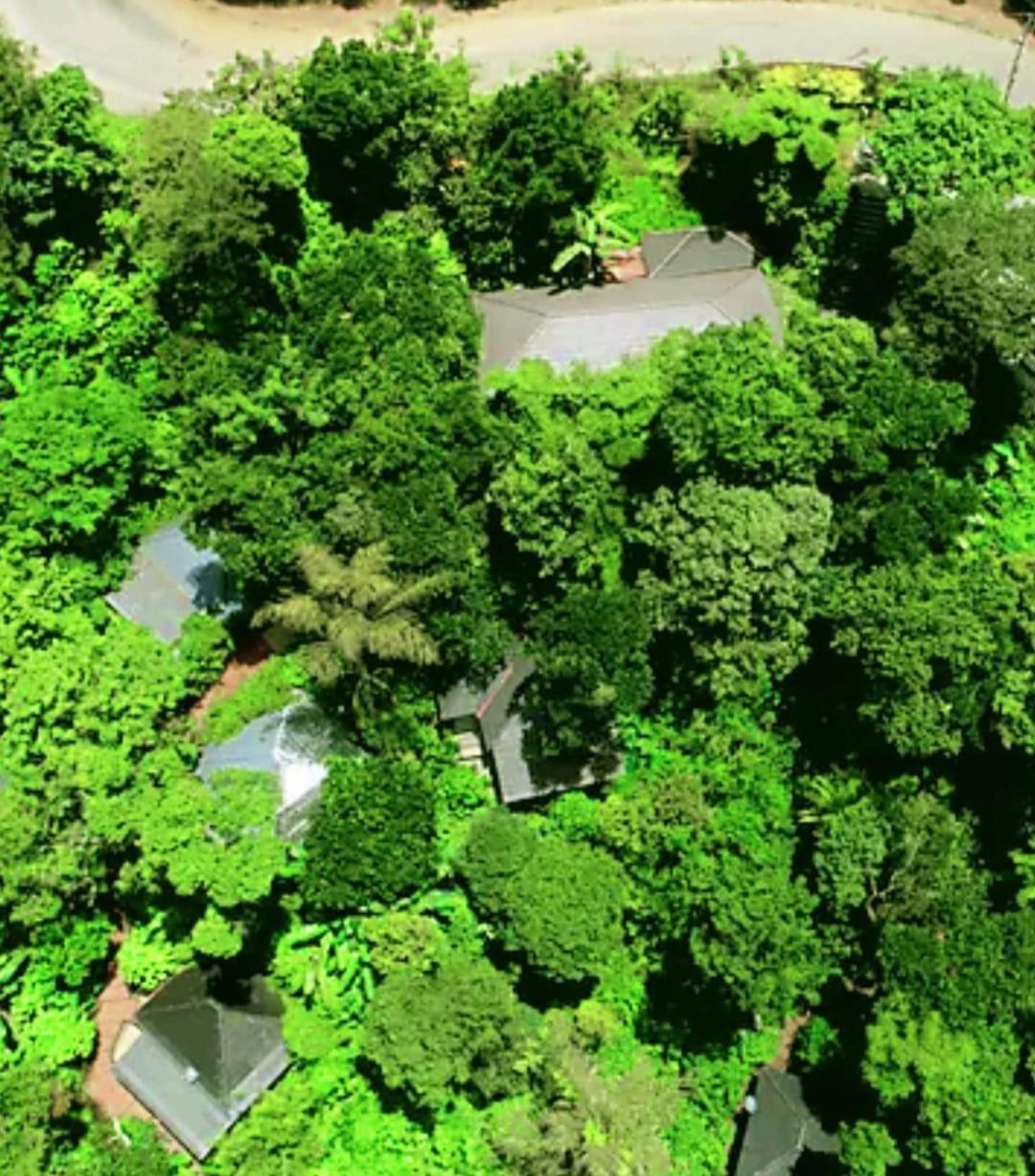 The Mountain Shades Resort Madikeri Exterior photo